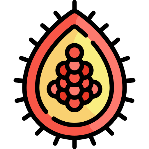 achiote Kawaii Lineal color icono