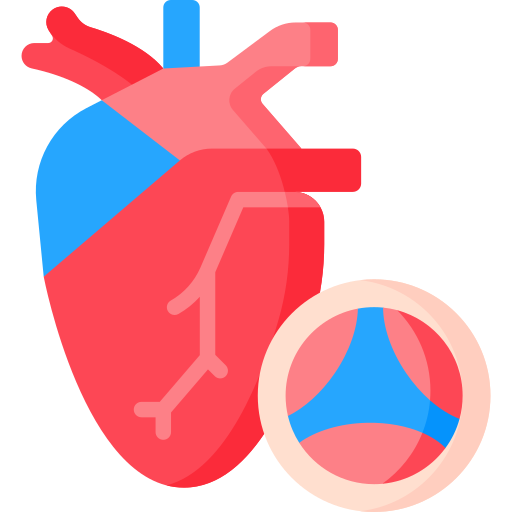aorta Special Flat ikona