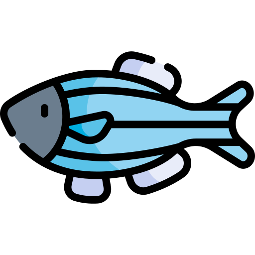 Zebrafish Kawaii Lineal color icon