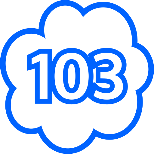 103 Generic color outline icon