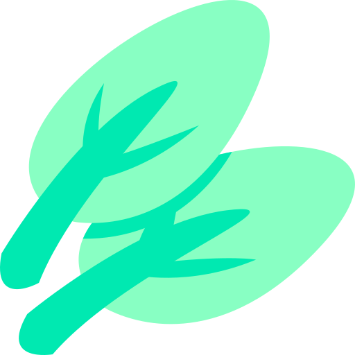 Spinach Generic color fill icon