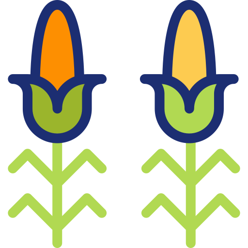Corn Basic Accent Lineal Color icon