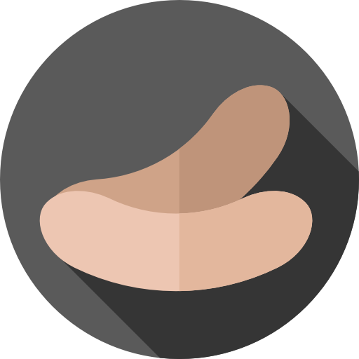 Sausages Flat Circular Flat icon