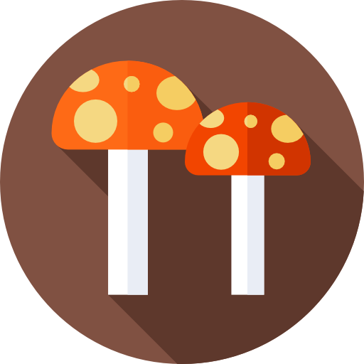 Mushrooms Flat Circular Flat icon