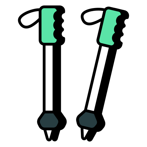 Лыжные палки Generic color lineal-color иконка