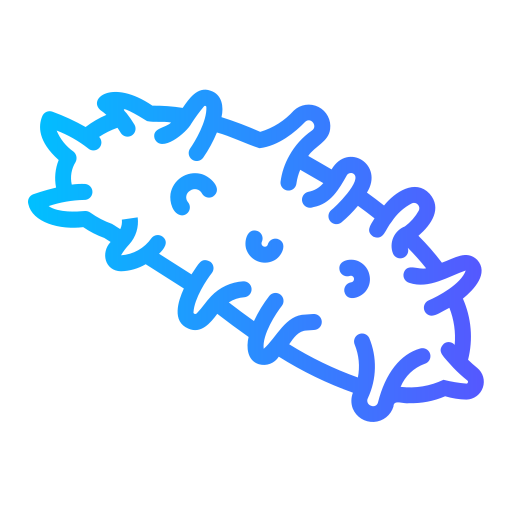 Морской огурец Generic gradient outline иконка