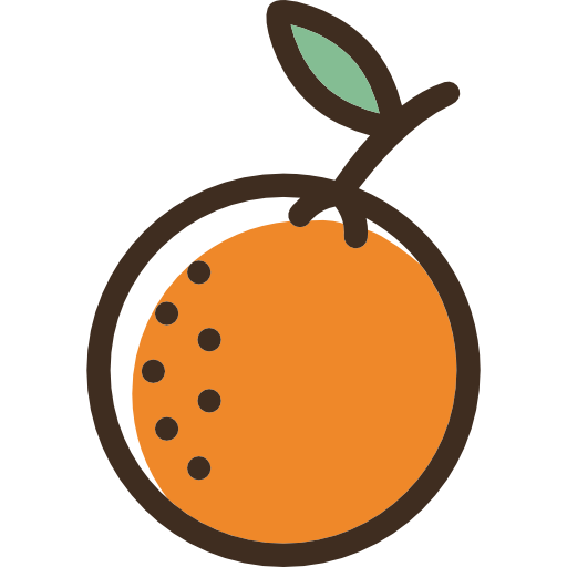 주황색  icon