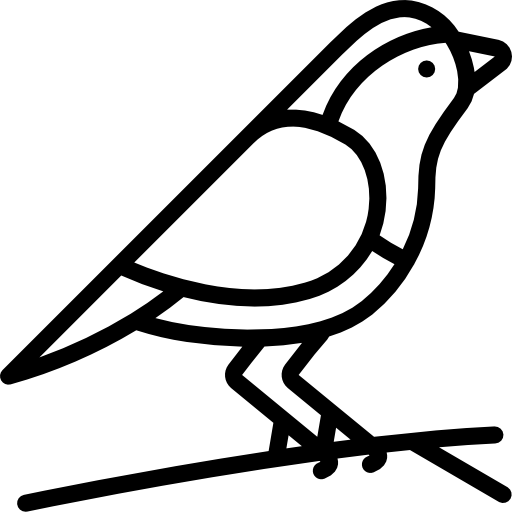robin Basic Miscellany Lineal icono