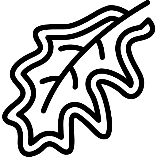 liść Basic Miscellany Lineal ikona