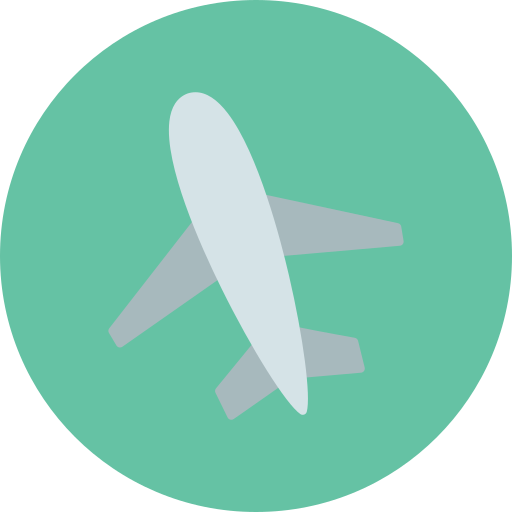 Airline Generic color fill icon