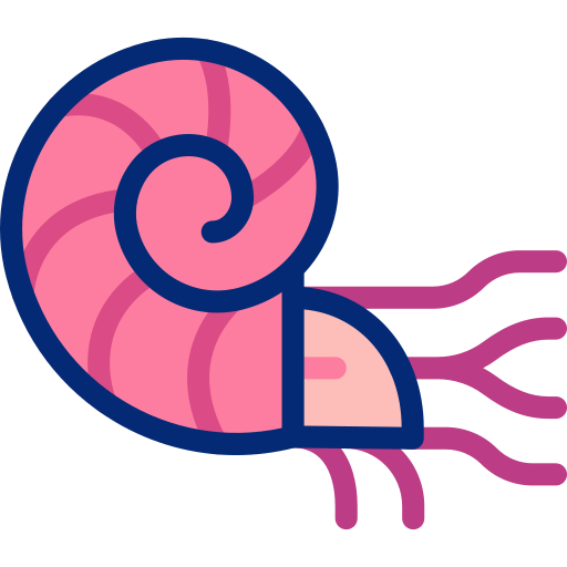 Ammonoid Basic Accent Lineal Color icon