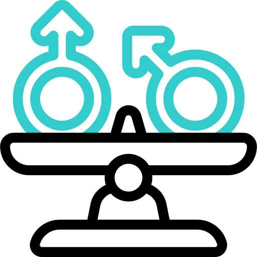 평등 Basic Accent Outline icon