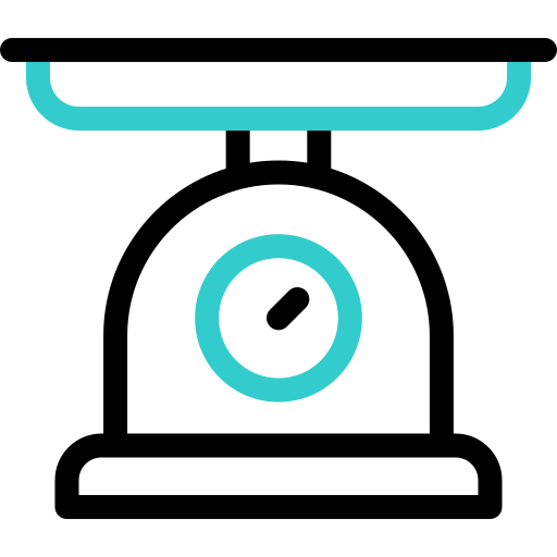 フードスケール Basic Accent Outline icon