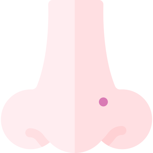 piercing Basic Rounded Flat icon