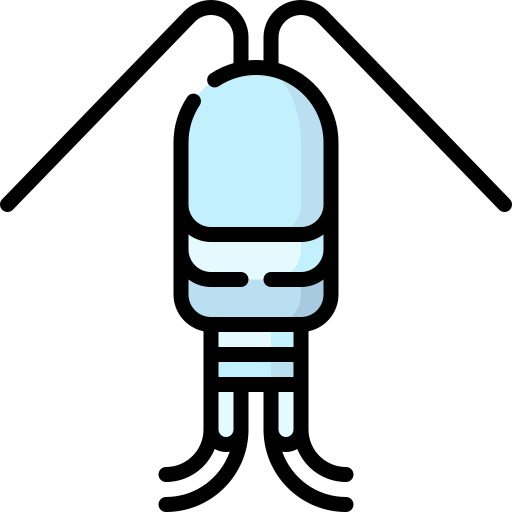 Copepod Special Lineal color icon