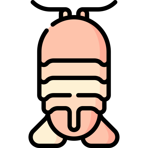 Sea isopod Special Lineal color icon