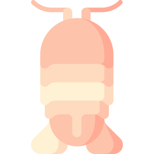 isopode marino Special Flat icona
