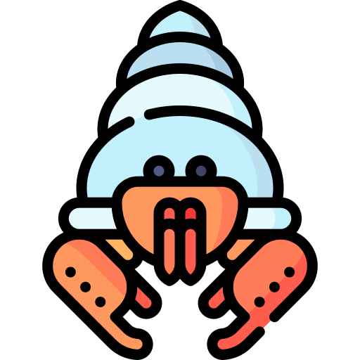 Hermit crab Special Lineal color icon