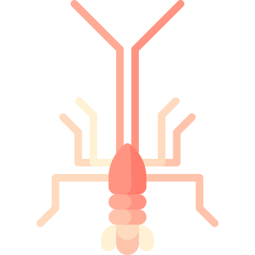 Gastroptychus Special Flat icon