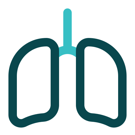 肺 Generic color outline icon