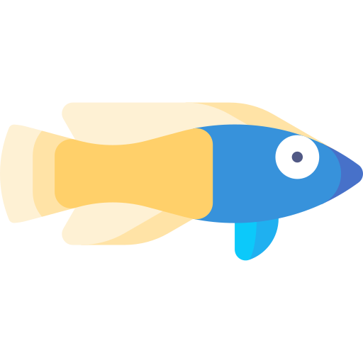 Royal dottyback Special Flat icon