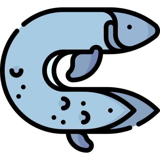 pez pulmonado Special Lineal color icono