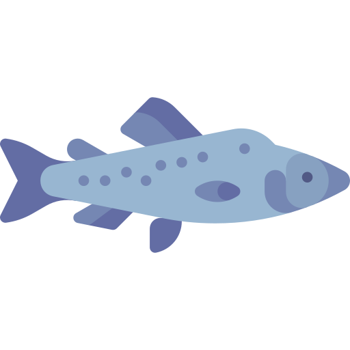 salmón Special Flat icono