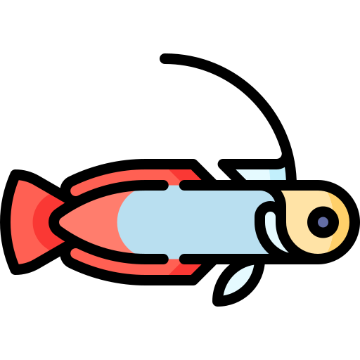 Red firefish goby Special Lineal color icon