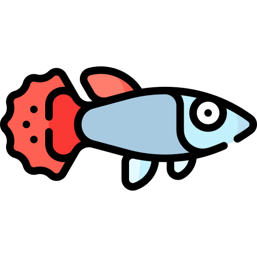 guppy Special Lineal color icon