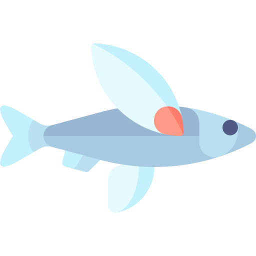 Flying fish Special Flat icon