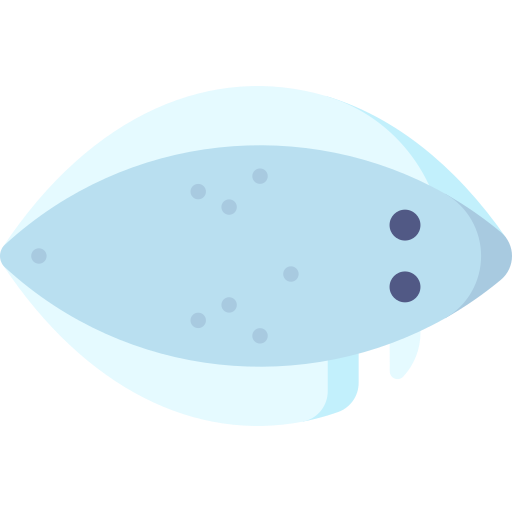 Tonguefish Special Flat icon