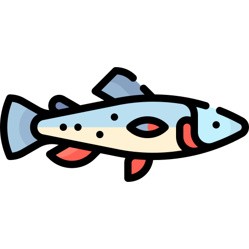 Trout Special Lineal color icon