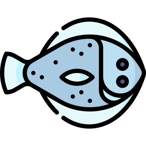 Flounder Special Lineal color icon