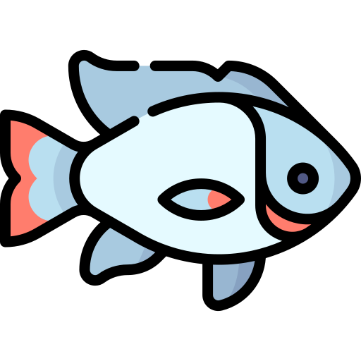 tilapia Special Lineal color icon