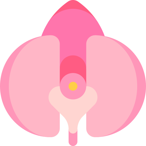 orchidee Special Flat icon