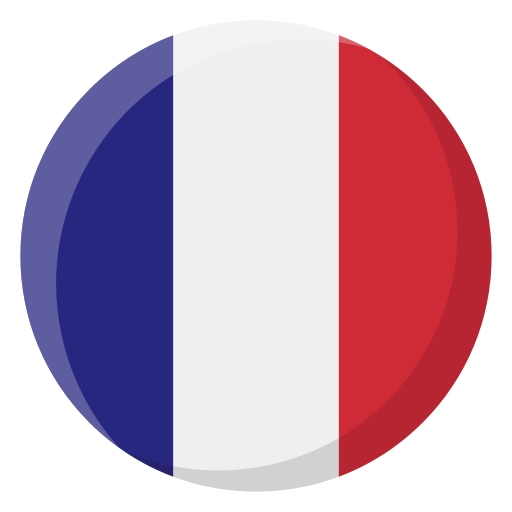 francia Generic color fill icono