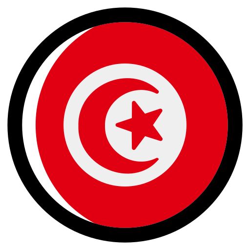 튀니지 Generic color lineal-color icon