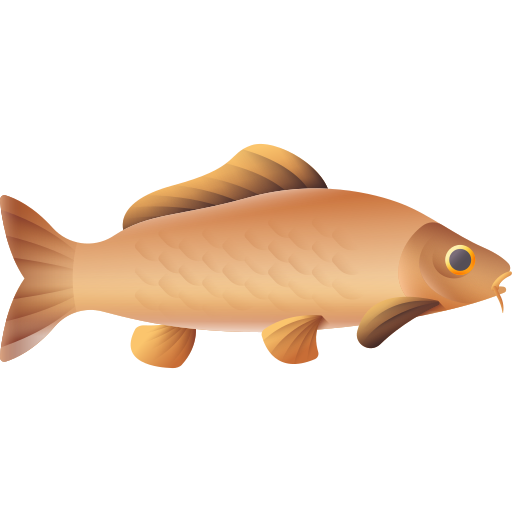 karp 3D Color ikona