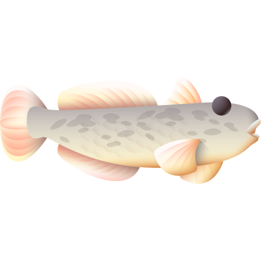 Goby fish 3D Color icon