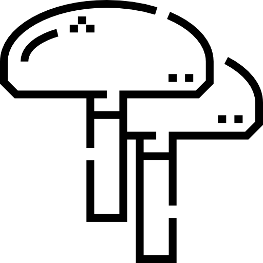 버섯 Detailed Straight Lineal icon