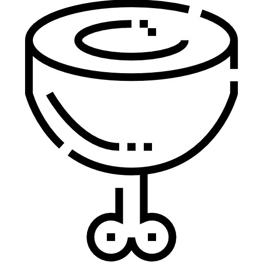 schinkenbein Detailed Straight Lineal icon