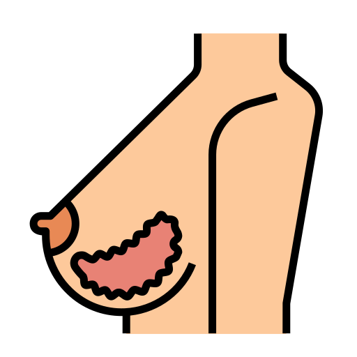 Breast Generic color lineal-color icon