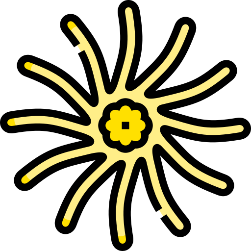 zonnebloem zeester Detailed Straight Lineal color icoon