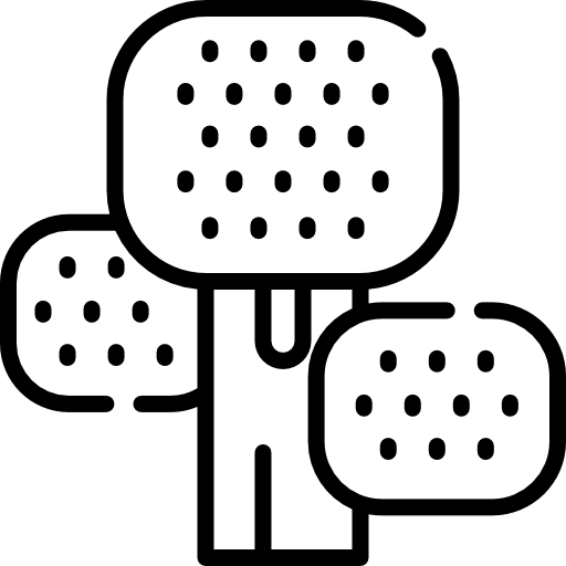 브로콜리 Special Lineal icon