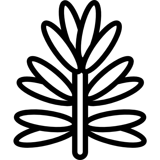 로즈마리 Basic Miscellany Lineal icon