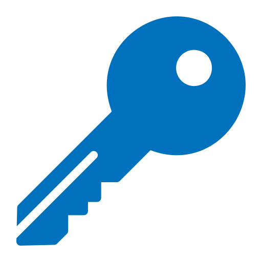 Key Generic color fill icon