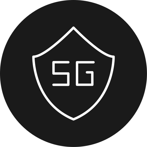 Internet security Generic black fill icon
