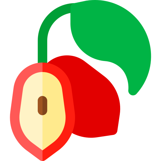 Miracle fruit Basic Rounded Flat icon