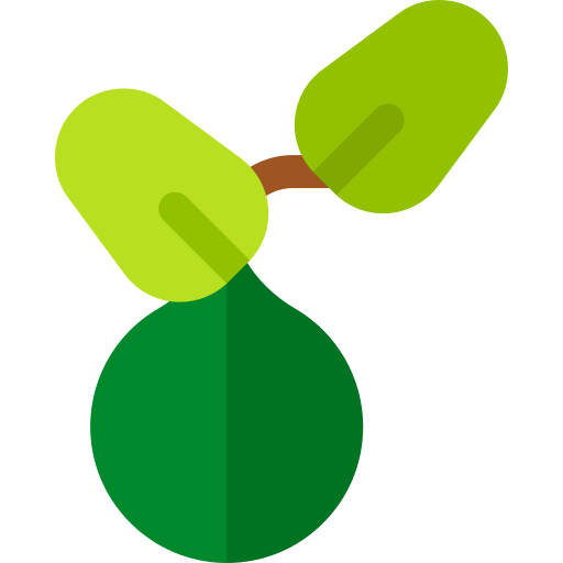 grüne bola Basic Rounded Flat icon