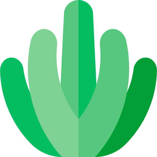 cactus Basic Rounded Flat icoon